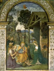 Natività, c.1484-92